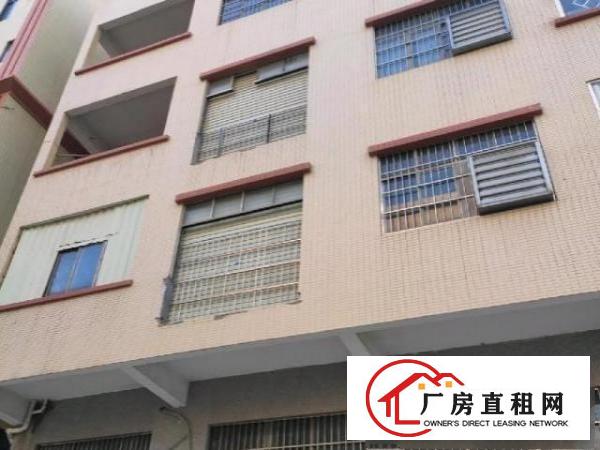 本栋出租，自建厂房、