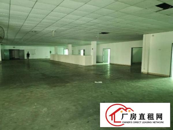  独门独院带装修厂房出租