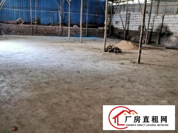  原房东偏僻厂房小独院