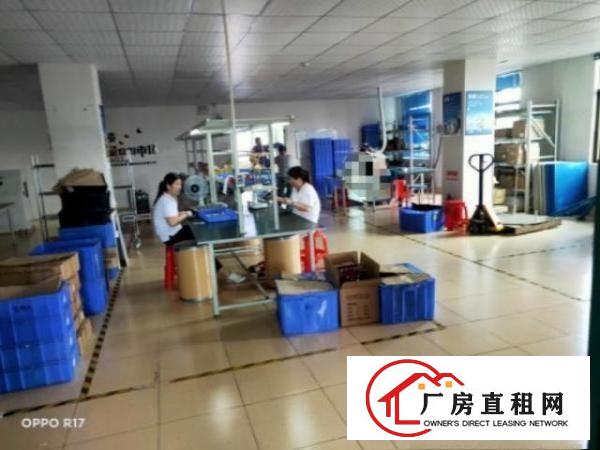  洋坑塘招租-整层实用面积400平方，无分摊，两押一租