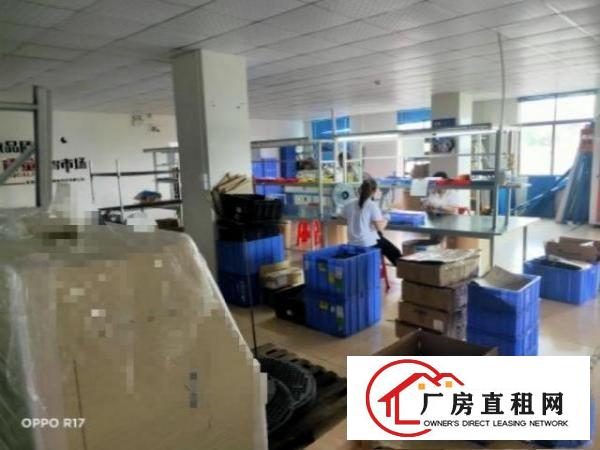  洋坑塘招租-整层实用面积400平方，无分摊，两押一租