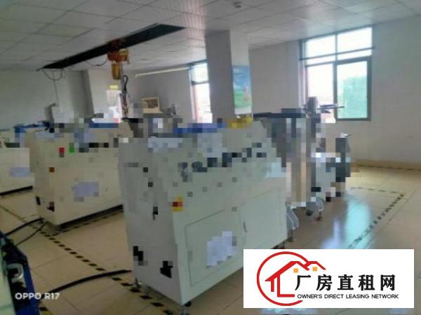  洋坑塘招租-整层实用面积400平方，无分摊，两押一租