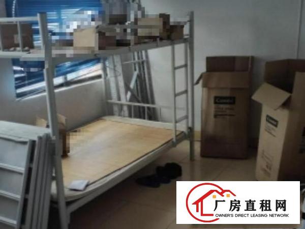  洋坑塘招租-整层实用面积400平方，无分摊，两押一租