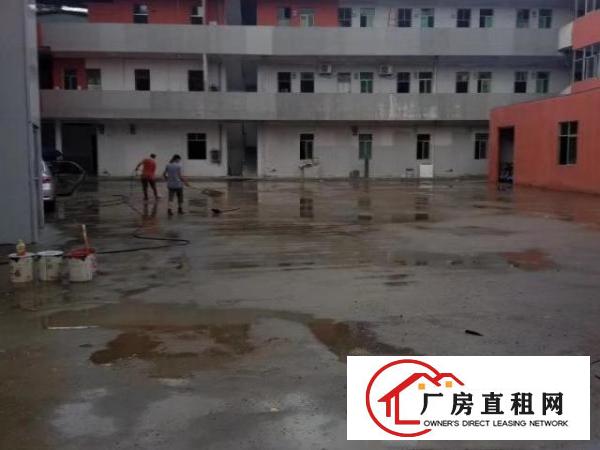  大朗新出原房东新装修厂房