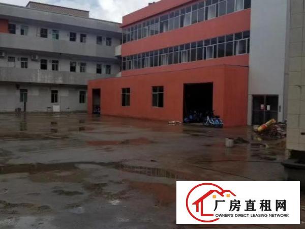  大朗新出原房东新装修厂房