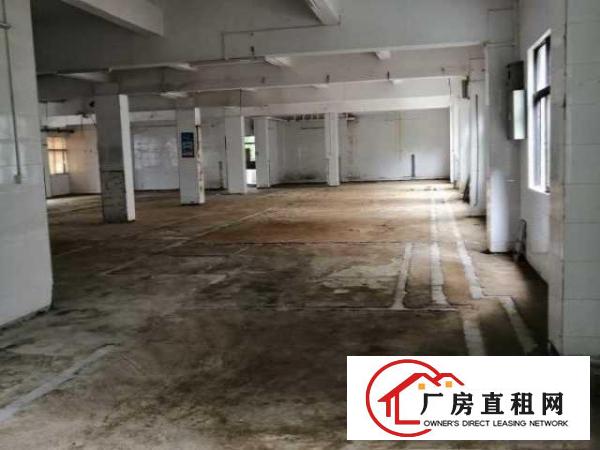 大朗长盛南路厂房出租
