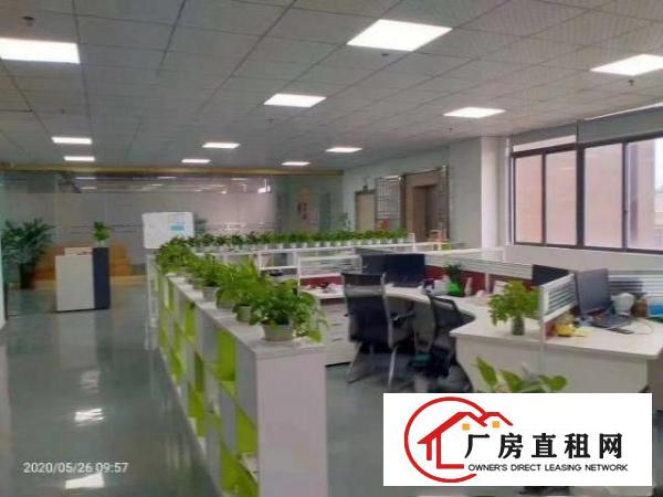  地坪漆豪华办公室装修二楼3000平方米