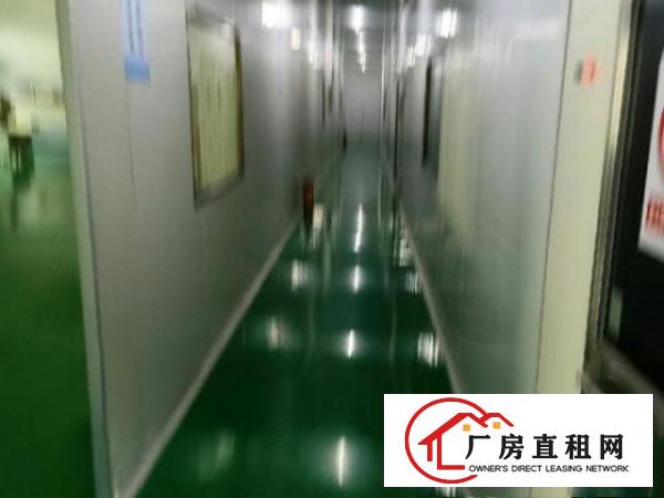  16元/平无尘车间，可分租，无管理费