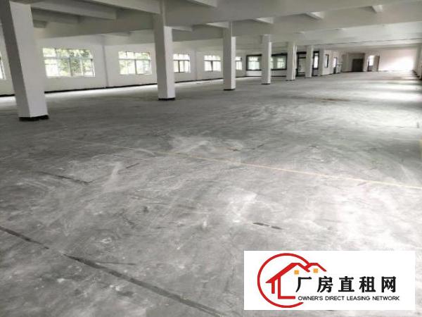  大朗镇竹山新出工业园区红本独门独院厂房