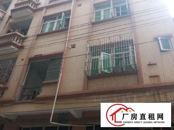  10元以内的占地220平，四层楼，可选择租多大