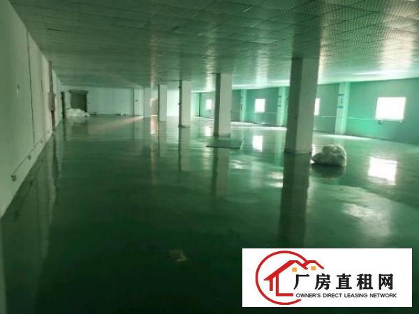  大朗洋坑塘精装修厂房