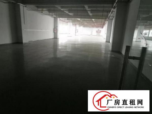  大朗镇工业区厂房出租