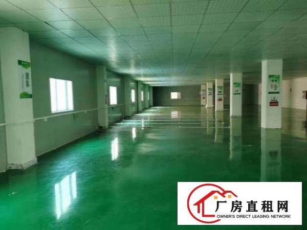  大朗镇工业用地厂房出租
