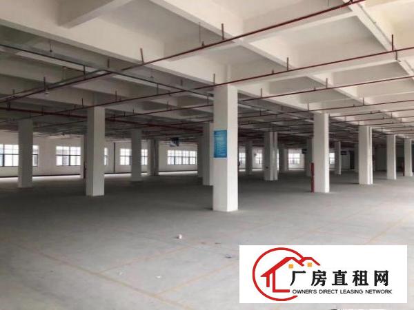  大朗镇中心院厂房急租