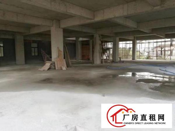  长塘社区厂房出租，可整栋或分层出租