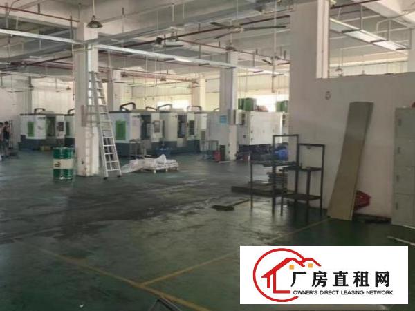  大朗镇洋坑塘一楼厂房出租2150平方
