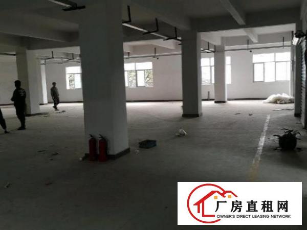  独栋厂房出租800平方
