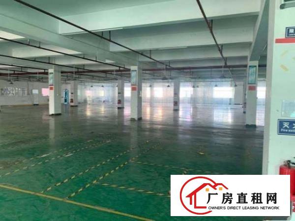  原房东花园厂房出租试