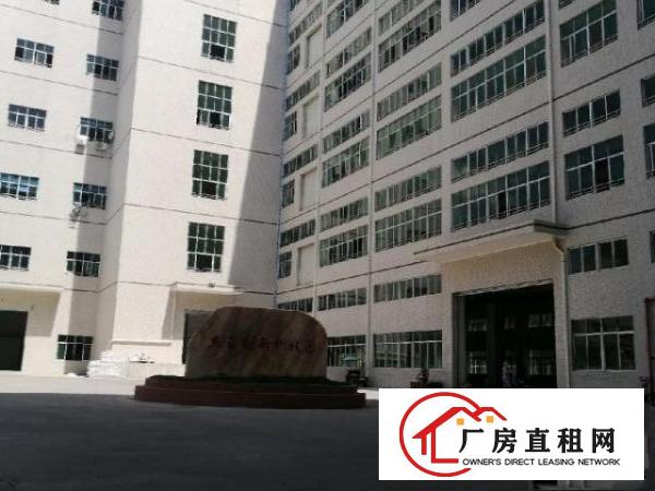  全新厂房二楼整层出租