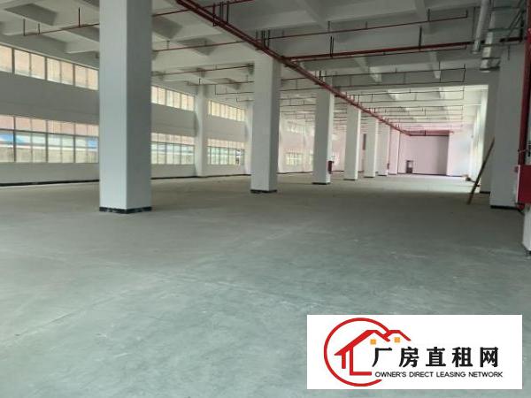  自有全新重工业厂房出租二楼2980平6米高便宜租
