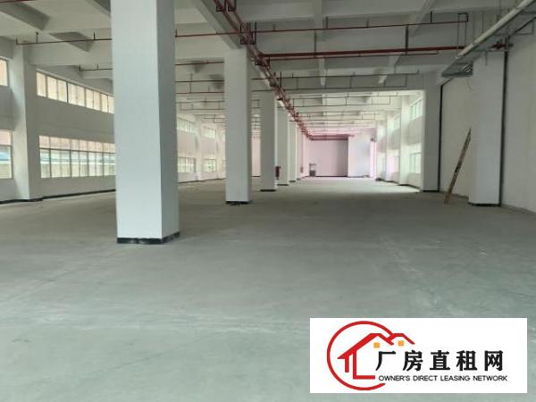  自有全新重工业厂房出租二楼2980平6米高便宜租
