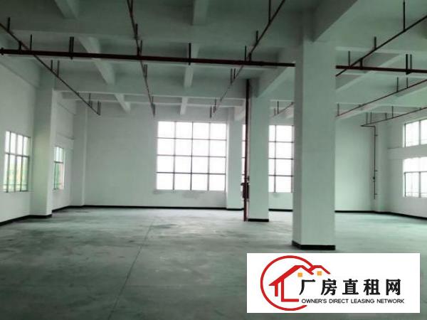  自有全新重工业厂房出租二楼2980平6米高便宜租