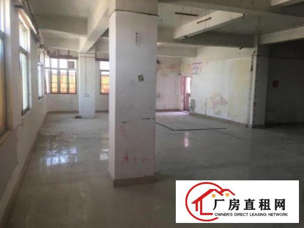  中心区电梯楼层出租，分层或整栋，