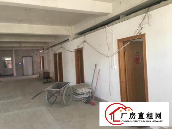  中心区电梯楼层出租，分层或整栋，