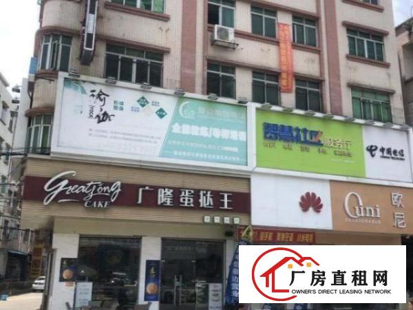  中心区电梯楼层出租，分层或整栋，
