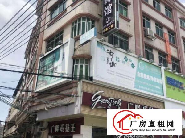  中心区电梯楼层出租，分层或整栋，