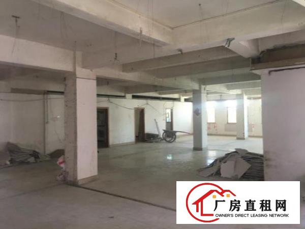  中心区电梯楼层出租，分层或整栋，