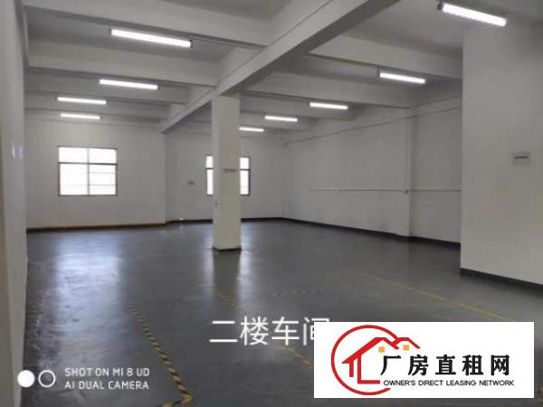  原房东独门独院厂房两层总面积1100平方