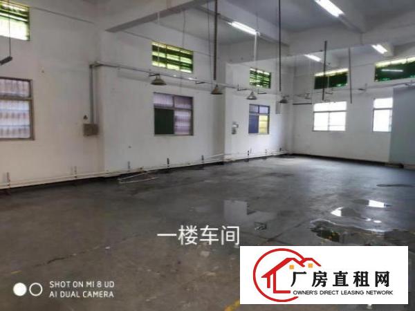  原房东独门独院厂房两层总面积1100平方