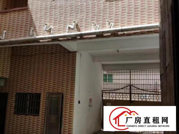  原房东独门独院厂房两层总面积1100平方