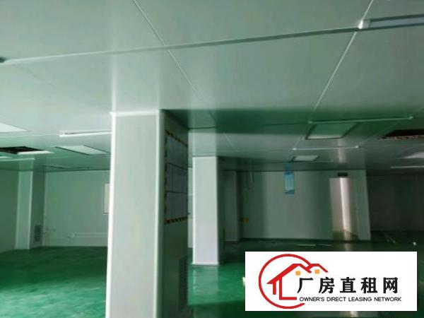  大朗厂房出租（水口南路）