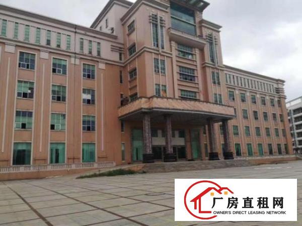  大朗镇上市公司形象厂房全新地坪漆。