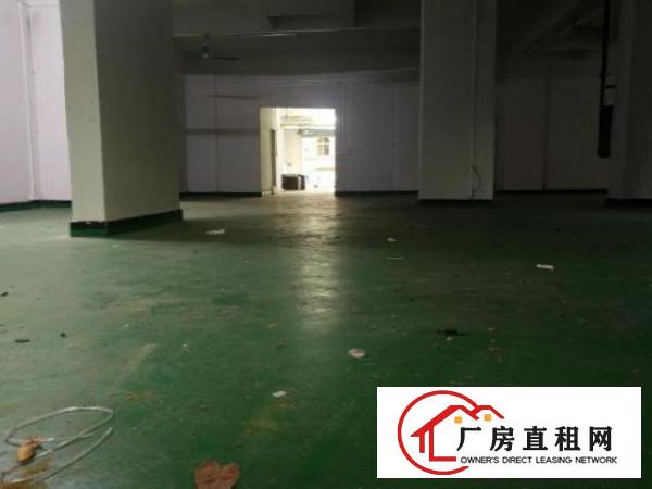  松柏朗一楼400平厂房或仓库（可分租）