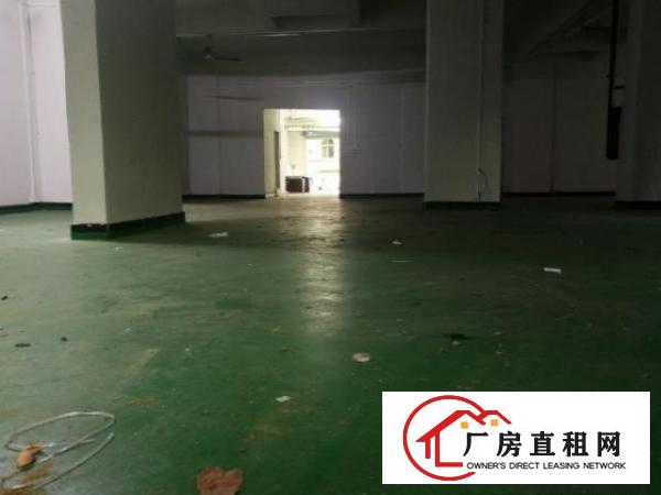  松柏朗一楼400平厂房或仓库（可分租）