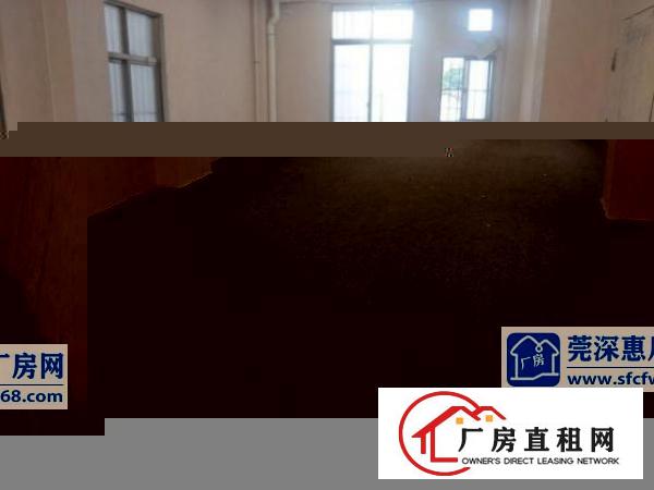  大朗钱水平旧围厂房出租