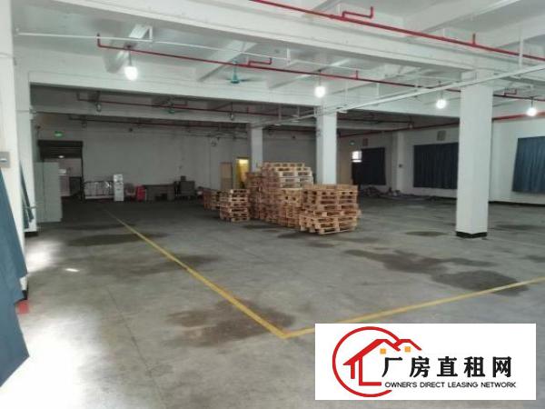  小独栋1800平方，全新地坪漆，水电齐全，超大空地
