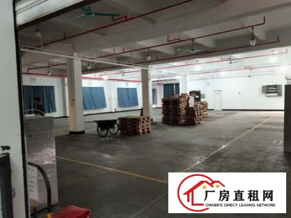  小独栋1800平方，全新地坪漆，水电齐全，超大空地