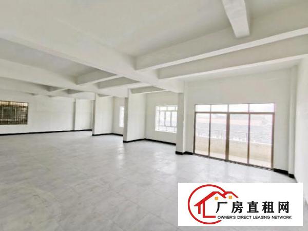  洋坑塘电梯厂房（仓库，培训班，淘宝）
