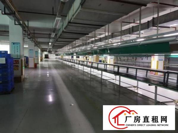  大朗镇高速出口处原房东厂房出租13000平方，可分租
