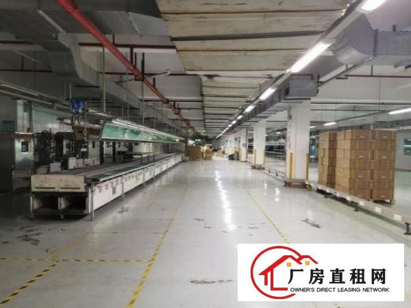  大朗镇高速出口处原房东厂房出租13000平方，可分租