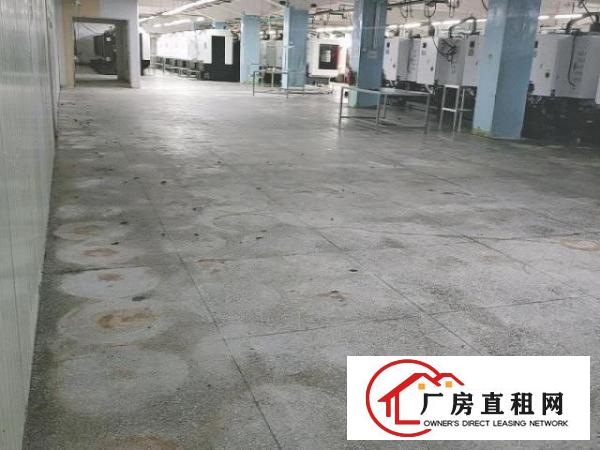  标准厂房一楼2750²，可分租
