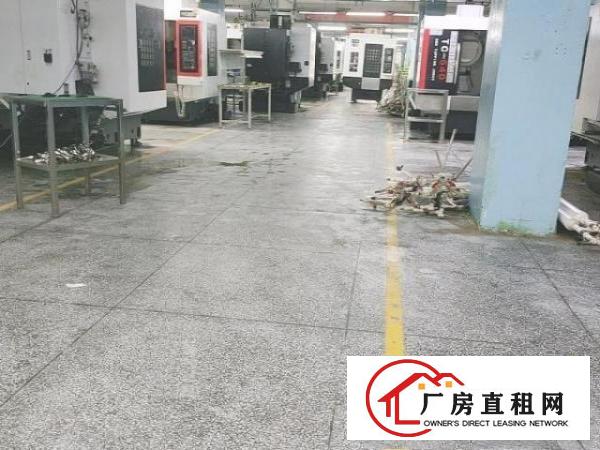  标准厂房一楼2750²，可分租