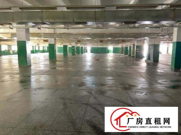  标准厂房一楼2750²，可分租