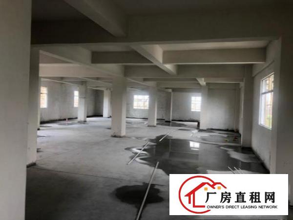  新建厂房，交通方便，有停车位，有电梯