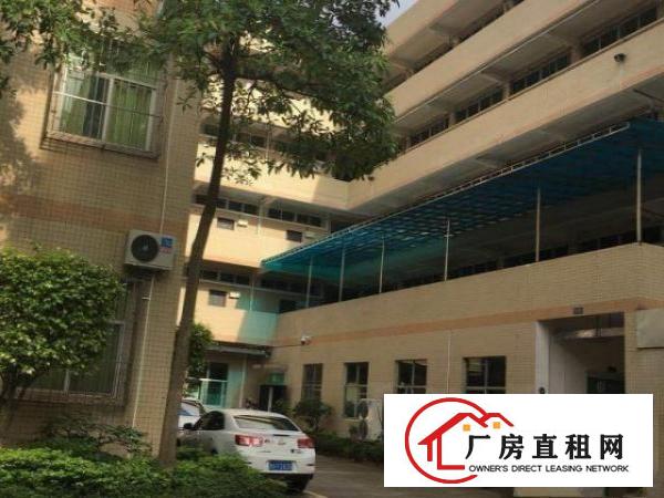  大朗汽车站附近新出独院无尘车间10000平米