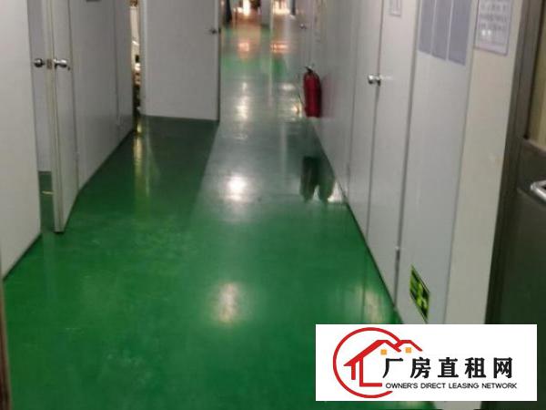  150万装修免费送，机器搬来就开工。想发就发